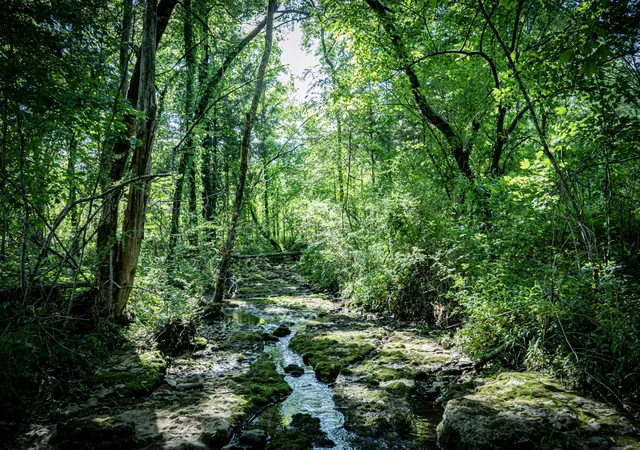 Photo 3 of Land for sale at 0 Pulaski Hwy, Fayetteville, TN 37334 | MLS# 3221766 | Listing updated on 2026-08-18