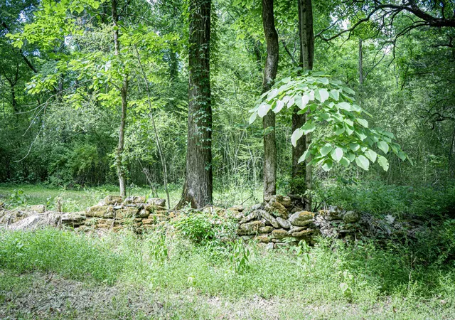 Photo 3 of Land for sale at 0 Pulaski Hwy, Fayetteville, TN 37334 | MLS# 3221766 | Listing updated on 2026-08-18