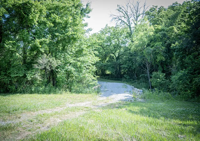 62nd image of 0 Pulaksi Hwy, Fayetteville, TN 37334 | MLS# 3221766