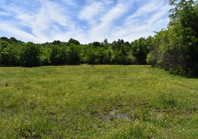 1st image of 0 Belfast Farmington Rd, Lewisburg, TN 37091 | MLS# 3214200