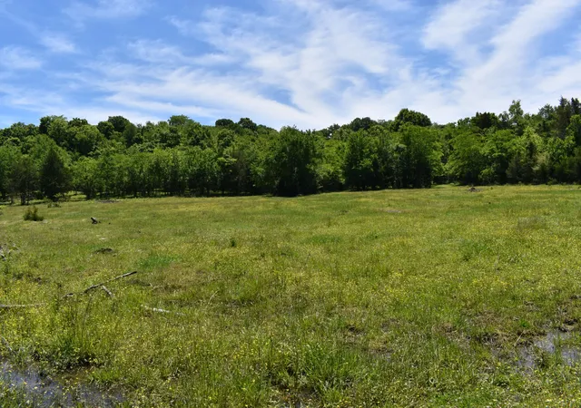 2nd image of 0 Belfast Farmington Rd, Lewisburg, TN 37091 | MLS# 3214200