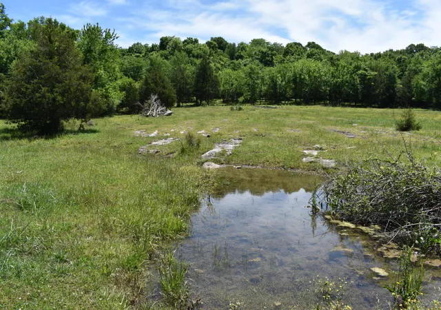 3rd image of 0 Belfast Farmington Rd, Lewisburg, TN 37091 | MLS# 3214200
