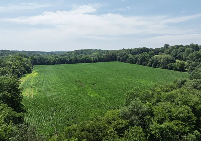 Photo 3 of Land for sale at 4776 Highway 48, Cumberland Furnace, TN 37051 | MLS# 3213608 | Listing updated on 2026-05-18