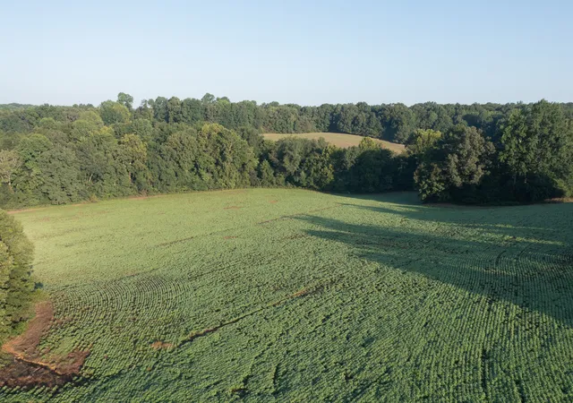 Photo 2 of Land for sale at 4776 Highway 48, Cumberland Furnace, TN 37051 | MLS# 3213608 | Listing updated on 2026-05-18