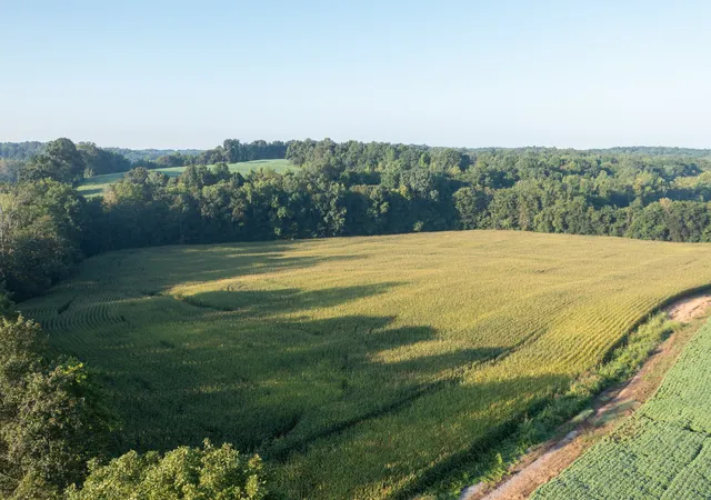 Photo 3 of House for sale at 4776 Highway 48, Cumberland Furnace, TN 37051 | MLS# 3213608 | Listing updated on 2026-05-18