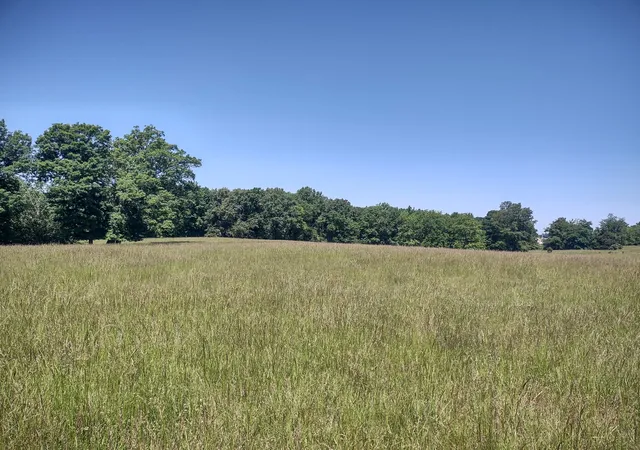 2nd image of 3 Valley Rd, Springfield, TN 37172 | MLS# 3211806