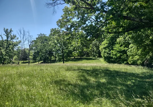 1st image of 3 Valley Rd, Springfield, TN 37172 | MLS# 3211806