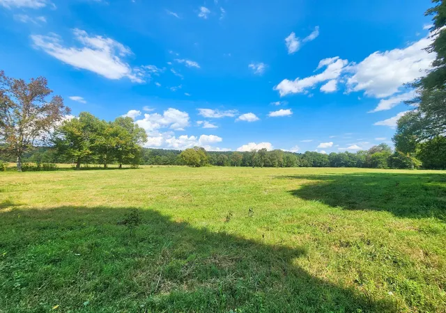 Homes for sale in Iron City, TN | 8312 Middle Butler Rd, Iron City, TN 38463 | MLS# 3213708
