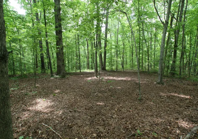 Photo 1 of Land for sale at 5671 Pinewood Rd, Franklin, TN 37064 | MLS# 3213697 | Listing updated on 2026-08-18