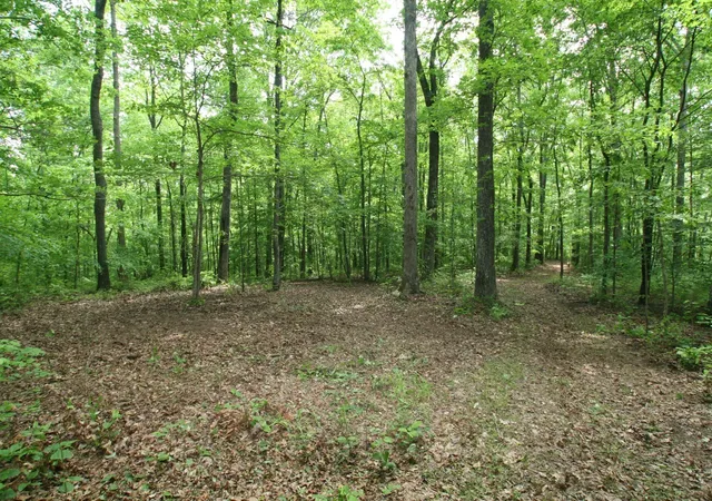 Photo 2 of Land for sale at 5671 Pinewood Rd, Franklin, TN 37064 | MLS# 3213697 | Listing updated on 2026-08-18