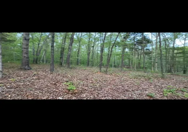 Photo 2 of Land for sale at 4587 Chapel Hl Rd, Southside, TN 37171 | MLS# 3213718 | Listing updated on 2026-07-25