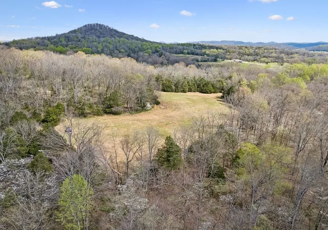 Homes for sale in Auburntown, TN | 0 Turney Rd, Auburntown, TN 37016 | MLS# 3214062