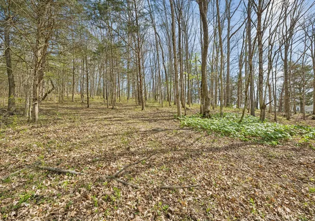 Homes for sale in Auburntown, TN | 0 Turney Rd, Auburntown, TN 37016 | MLS# 3214062
