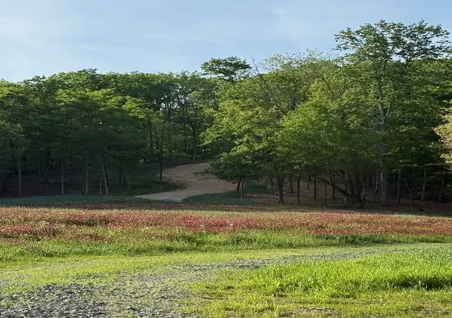 Photo 2 of Land for sale at 5284 Poor House Holw Rd, Franklin, TN 37064 | MLS# 3217766 | Listing updated on 2026-06-09