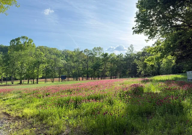 Photo 3 of Land for sale at 5284 Poor House Holw Rd, Franklin, TN 37064 | MLS# 3217766 | Listing updated on 2026-06-09