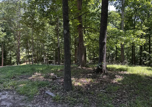 Homes for sale in Loretto, TN | 0 Littrell Road, Loretto, TN 38469 | MLS# 3214317