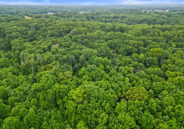 41st image of 150a Dogwood Springs Dr, Portland, TN 37148 | MLS# 3217942
