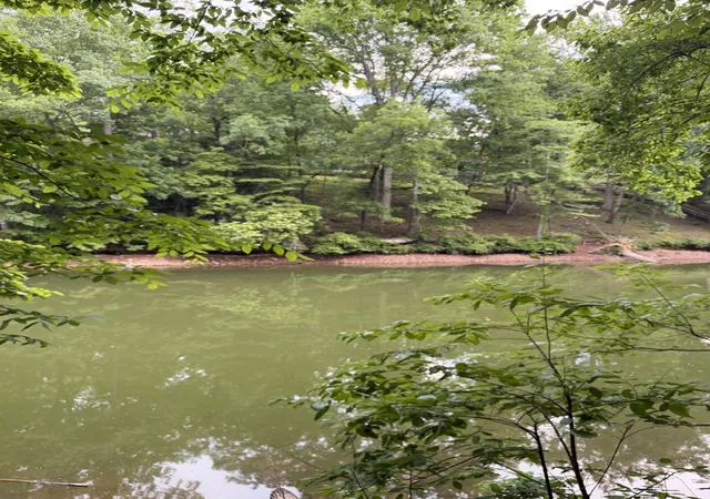 2nd image of 0 Dry Creek Lane, Winchester, TN 37398 | MLS# 3217180