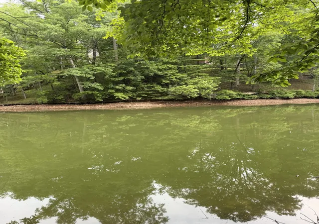 3rd image of 0 Dry Creek Lane, Winchester, TN 37398 | MLS# 3217180