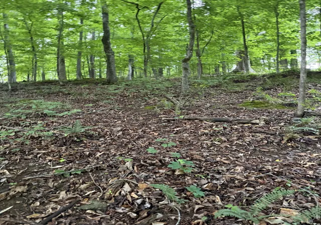 5th image of 0 Dry Creek Lane, Winchester, TN 37398 | MLS# 3217180