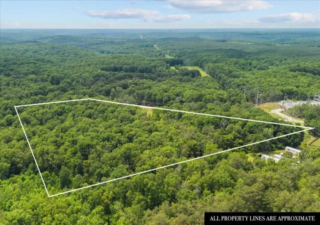 Homes for sale in Centerville, TN | 2796 Hwy 100, Centerville, TN 37033 | MLS# 3214987