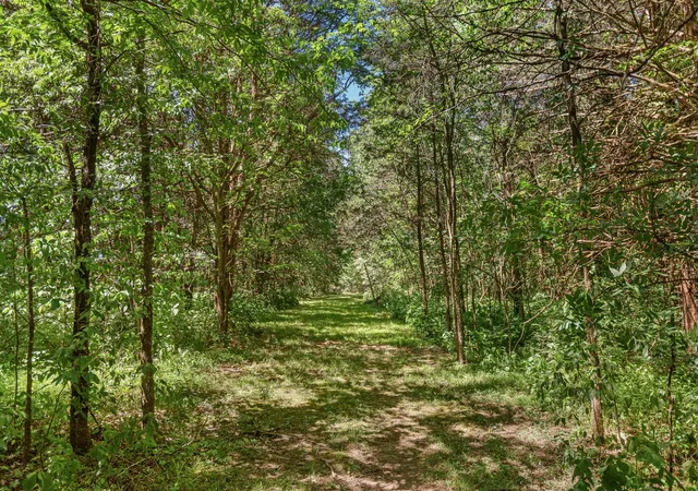 Homes for sale in Watertown, TN | 642 Beach Bottom Rd, Watertown, TN 37184 | MLS# 3215137