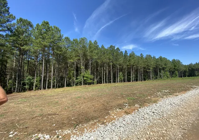1st image of 940 Crockett Point, Jasper, TN 37347 | MLS# 3215062