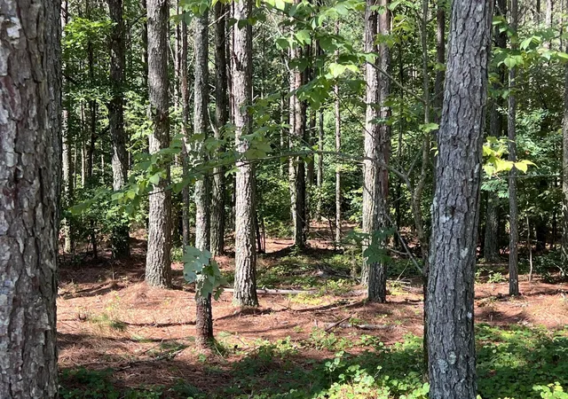 2nd image of 940 Crockett Point, Jasper, TN 37347 | MLS# 3215062