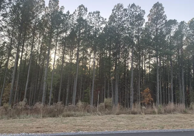 4th image of 940 Crockett Point, Jasper, TN 37347 | MLS# 3215062