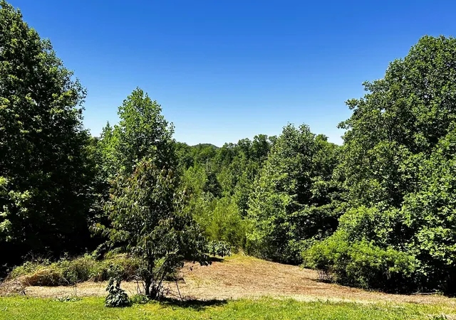 5th image of 161 Willie Shell Road, Reliance, TN 37369 | MLS# 3244163