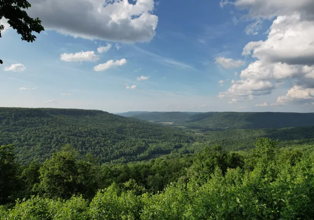 Homes for sale in Beersheba Springs, TN | 309 Blackberry Rd, Beersheba Springs, TN 37305 | MLS# 3215102