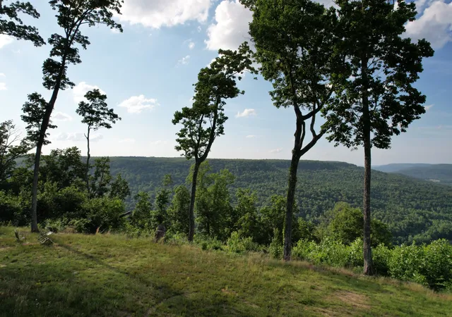 Homes for sale in Beersheba Springs, TN | 309 Blackberry Rd, Beersheba Springs, TN 37305 | MLS# 3215102
