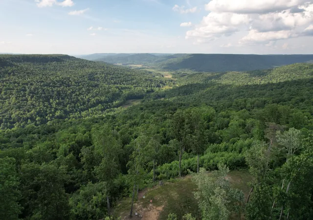 Homes for sale in Beersheba Springs, TN | 309 Blackberry Rd, Beersheba Springs, TN 37305 | MLS# 3215102