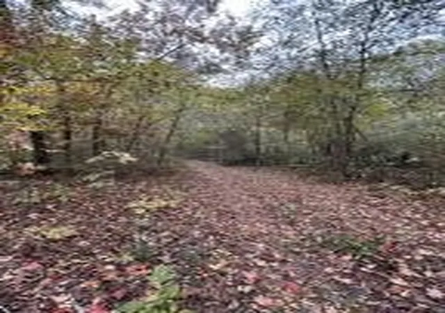 4th image of 7810 N Lee Hwy, Cleveland, TN 37312 | MLS# 3226015