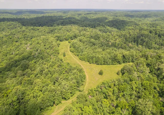 Photo 3 of Land for sale at 0 Rbk, Bethpage, TN 37022 | MLS# 3218311 | Listing updated on 2026-05-27