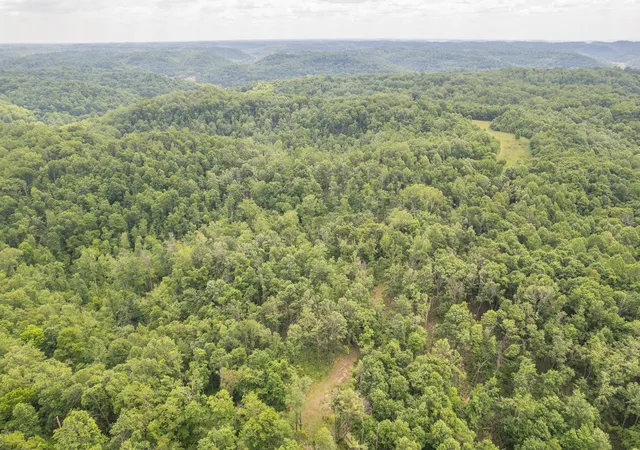 Photo 4 of Land for sale at 0 Rbk, Bethpage, TN 37022 | MLS# 3218311 | Listing updated on 2026-05-27