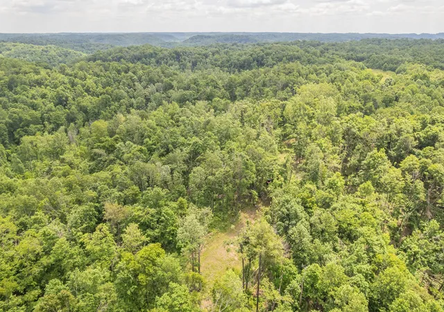 6th image of 0 Rbk, Bethpage, TN 37022 | MLS# 3218311