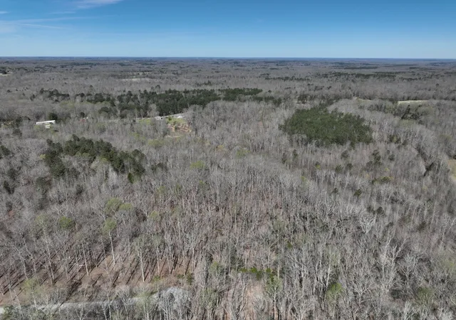 Photo 2 of Land for sale at 255 War Eagle Dr, Cedar Grove, TN 38321 | MLS# 3215161 | Listing updated on 2026-09-29