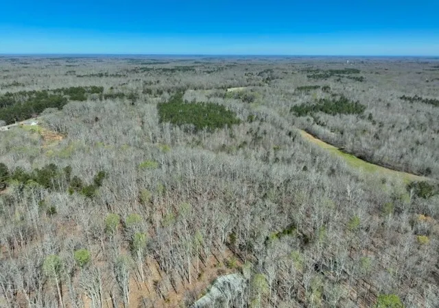 Photo 3 of Land for sale at 255 War Eagle Dr, Cedar Grove, TN 38321 | MLS# 3215161 | Listing updated on 2026-09-29
