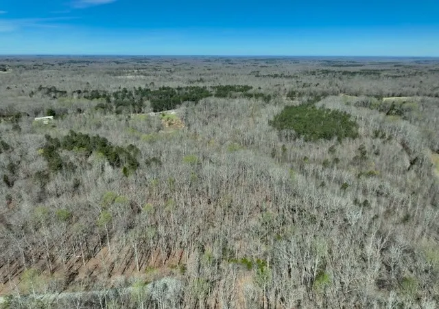 Photo 4 of Land for sale at 255 War Eagle Dr, Cedar Grove, TN 38321 | MLS# 3215161 | Listing updated on 2026-09-29