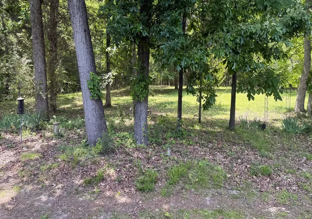 Homes for sale in Greenbrier, TN | 5260 New Cut Rd, Greenbrier, TN 37073 | MLS# 3215579