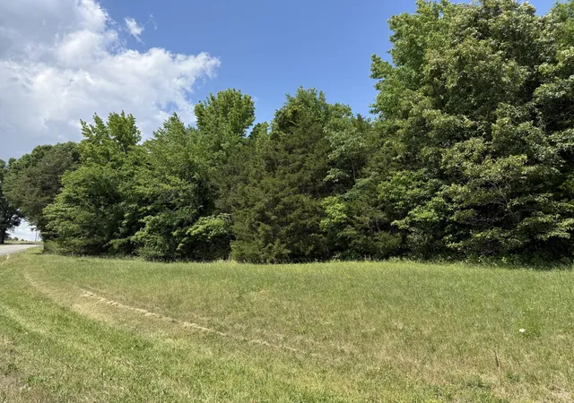 Homes for sale in Belvidere, TN | 0 Kasserman Switch Rd, Belvidere, TN 37306 | MLS# 3215734
