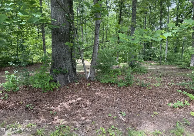 Photo 2 of Single family home for sale at 3422 Airport Rd, Rockwood, TN 37854 | MLS# 3615184 | Listing updated on 2026-10-08