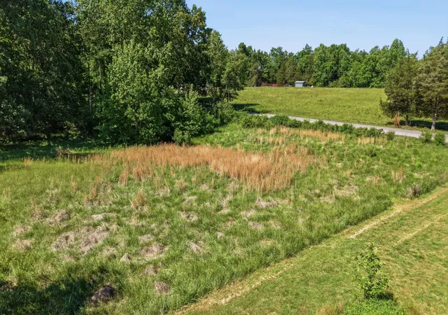 Homes for sale in Tullahoma, TN | 0 Ridgeville Rd, Tullahoma, TN 37388 | MLS# 3216294