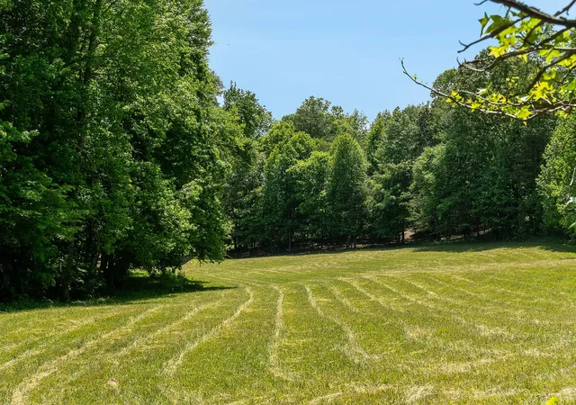 2nd image of 29 Acres Standing Stone Hwy, Hilham, TN 38568 | MLS# 3215739