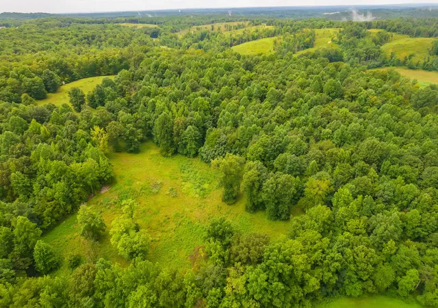 1st image of 2119 Bunches Chapel Rd, Parsons, TN 38363 | MLS# 3215745