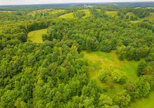 2nd image of 2119 Bunches Chapel Rd, Parsons, TN 38363 | MLS# 3215745
