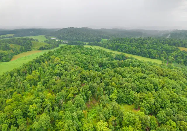 3rd image of 2119 Bunches Chapel Rd, Parsons, TN 38363 | MLS# 3215745