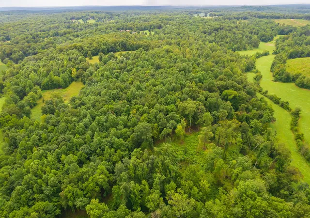 4th image of 2119 Bunches Chapel Rd, Parsons, TN 38363 | MLS# 3215745