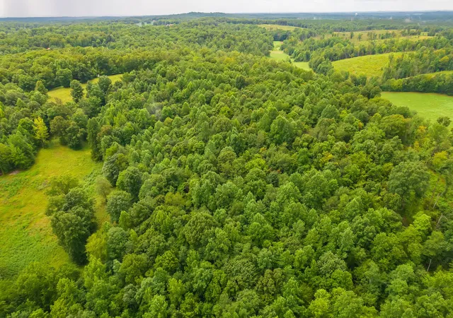 5th image of 2119 Bunches Chapel Rd, Parsons, TN 38363 | MLS# 3215745